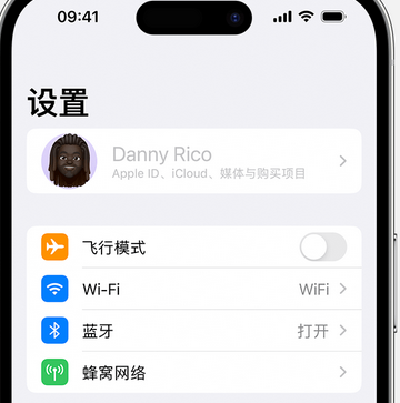 嵩明appleID维修服务iPhone设置中Apple ID显示为灰色无法使用 