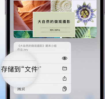 嵩明apple维修中心分享iPhone文件应用中存储和找到下载文件