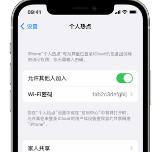 嵩明apple服务站点分享iPhone上个人热点丢失了怎么办 