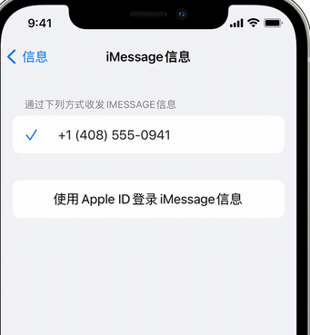 嵩明apple维修iPhone上无法正常发送iMessage信息 