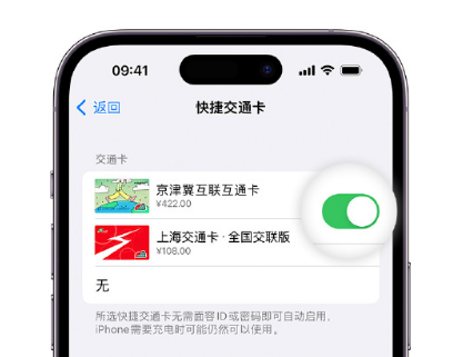 嵩明apple维修点分享iPhone上更换Apple Pay快捷交通卡手绘卡面 