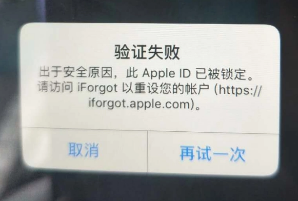 嵩明iPhone维修分享iPhone上正常登录或使用AppleID怎么办 