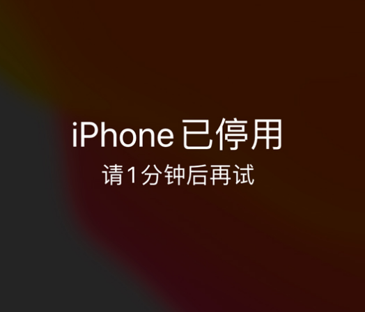 嵩明苹果手机维修分享:iPhone 显示“不可用”或“已停用”怎么办？还能保留数据吗？ 