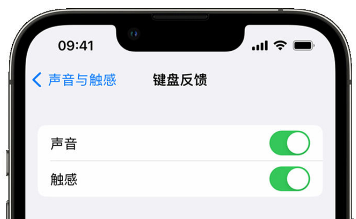 嵩明苹果手机维修分享iPhone 14触感键盘使用方法 