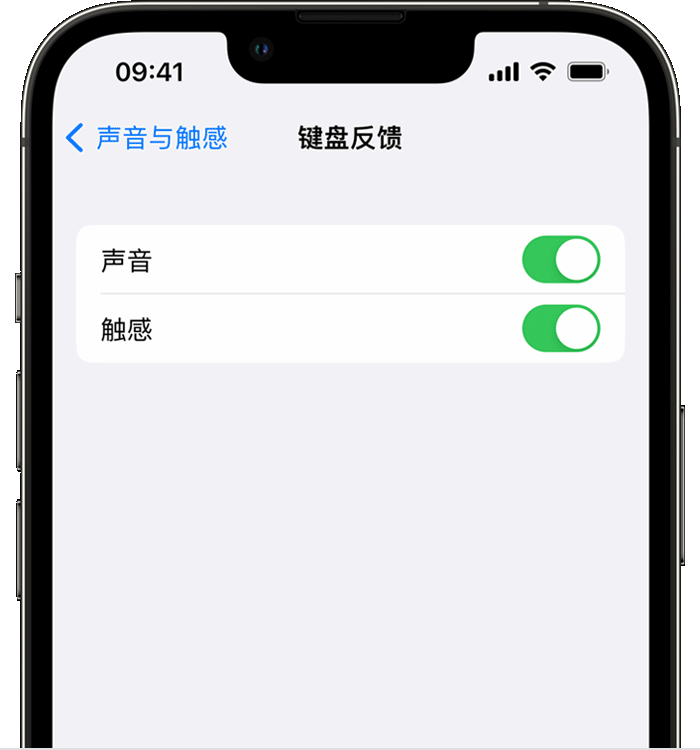 嵩明苹果14维修店分享如何在 iPhone 14 机型中使用触感键盘 