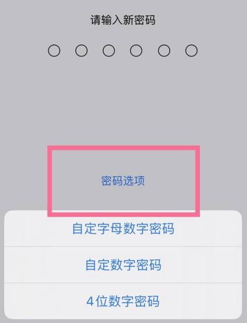 嵩明苹果14维修分享iPhone 14plus设置密码的方法 