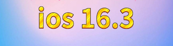 嵩明苹果服务网点分享苹果iOS16.3升级反馈汇总 