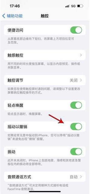 嵩明苹果手机维修分享iPhone手机如何设置摇一摇删除文字 