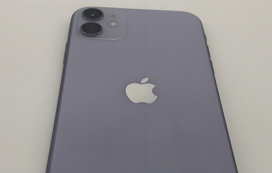 嵩明苹果11系统维修分享iPhone11手机系统崩溃无法开机如何解决 